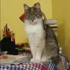 Отзыв от Варвара Панкратова